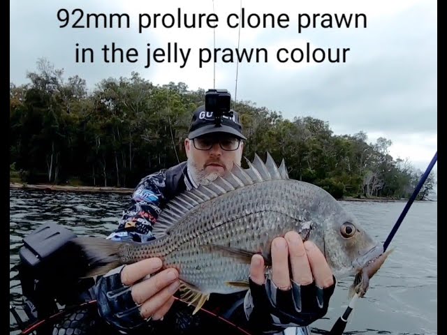 What fish doesn't eat prawns? Pro Lure Clone Prawn 