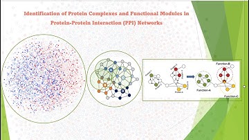 Protein Complexes and Functional Modules in PPI Network | MCODE | LE | MTGO | DIAMOnD |