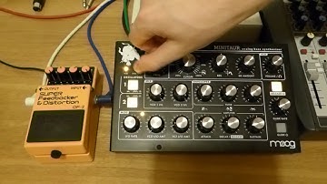 Moog Minitaur & Boss DF2 Super Feedbacker & Distortion