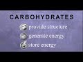 Carbohydrates: Structure and Function