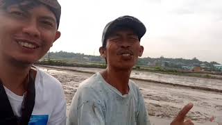 Download Lagu interview dengan petani padi .ini dia rahasia kehidupan seorang petani padi.untuk kebutuhan hidup MP3