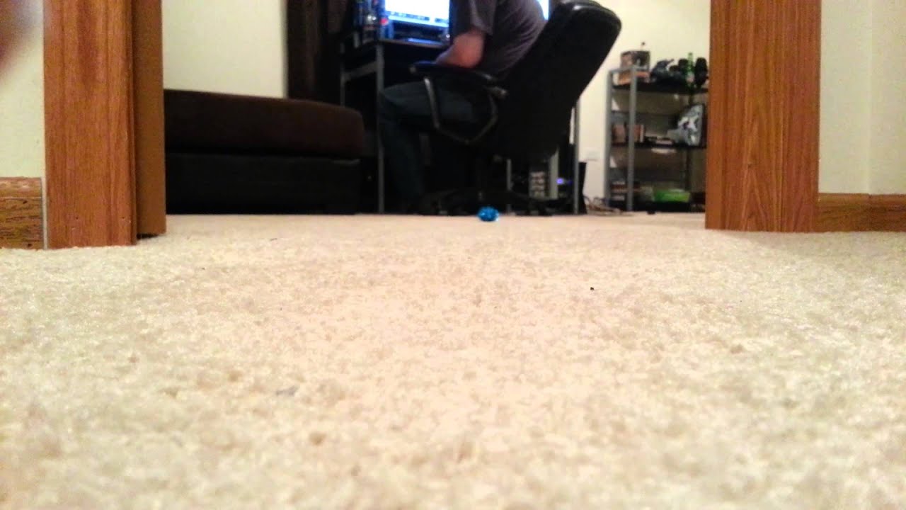 camera iphone 8 plus apk Vesta plays fetch. Sort of.