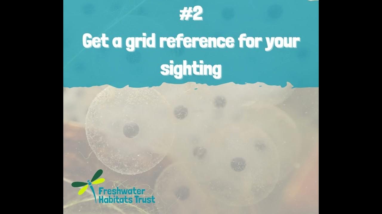 2023 Spawn Survey five steps to getting involved. YouTube