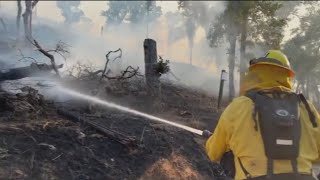 Forward progress stopped on brush fire near Lake Berryessa