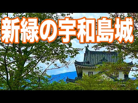 新緑の宇和島城(2025.4.18)
