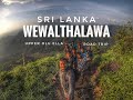 Wewalthalawa Tea Estate Olu Ella - SriLanka