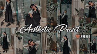 Aesthetic preset | Vintage Aesthetic preset | How to edit aesthetic photos | Free lightroom preset |