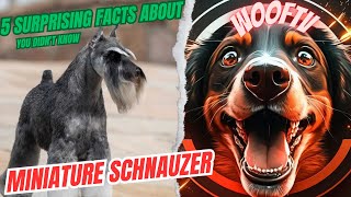 5 Surprising Facts About Miniature Schnauzer You Didn't Know by WoofTV 31 views 1 year ago 1 minute, 46 seconds