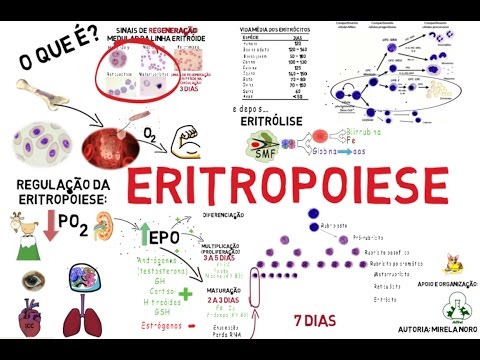 Vídeo: Na anemia qual o estímulo para a produção de eritropoietina?
