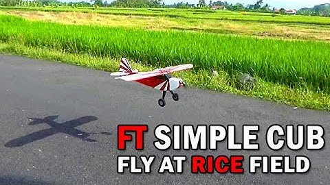 FT Simple cub fly at rice field