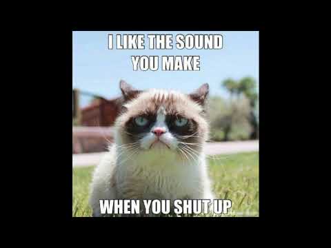 grumpy-cat-meme-compilation