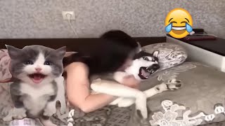 BEST Funny moment of DOGS and CATS | Funny Pet Compilation -  Funniest ANIMALS videos of 2024  #31