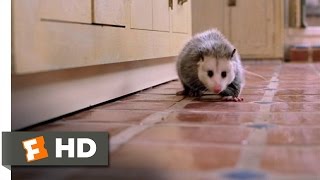 Download Lagu Clockstoppers (1/9) Movie CLIP - Possum Trouble (2002) HD MP3