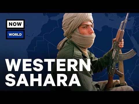 What&rsquo;s Going On In Western Sahara? | NowThis World