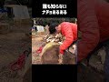 【家族で田舎移住生活】誰も知らないナチョあるある #Shorts
