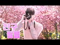 타다군은 사랑을 하지 않는다 OP 친구필름 オトモダチフィルム Cover By 삼월 타다군은 사랑을 하지 않는다 OP 친구필름 オトモダチフィルム Cover By 삼월