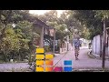 Quiet Village Street at Sunset with Lush Green Trees