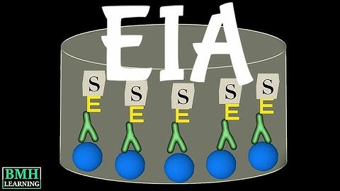 Enzyme Immunoassay | EIA | ELISA |