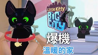 【爆機】《Little Kitty, Big City》#5 溫暖的家