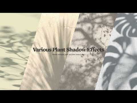 Shadow Backdrops Videos Collection, a Mockup by rebrandy (Thumbnail 8 of 20)