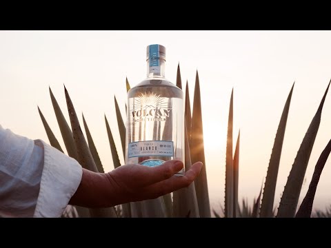 Video: Mød Volcan De Mi Tierra, Moët Hennessys Nye Vulkanske Aske Tequila