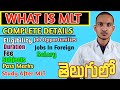 What is mlt  mlt course complete details in telugu  mlt full details in telugu