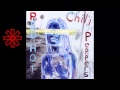 Red Hot Chili Peppers - Can't Stop [BACKING TRACK] (WITH VOCALS)