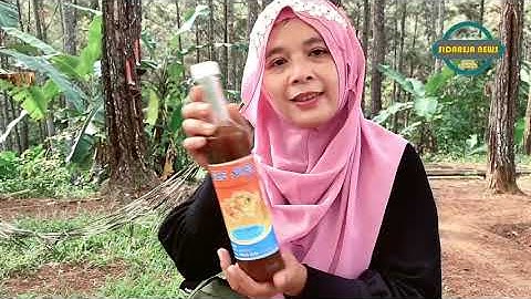 Ternyata ini manfaat jahe emprit