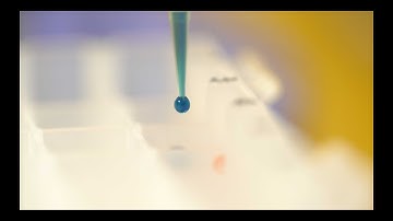 My Impact: Ourotech | Startup Accelerator | SU Ventures