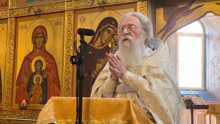 О неверии по греху и по немощи. Проповедь отца Геннадия в день памяти св. апостола Фомы. 19.10.2025