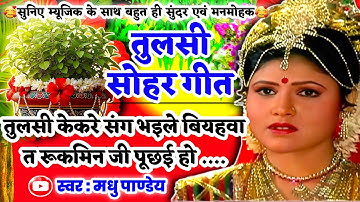 #Video तुलसी सोहर गीत-Tulsi Vivah|तुलसी केकरे संग भइले बियहवा त रूकमिन जी पूछई हो|कार्तिकमास एकादशी