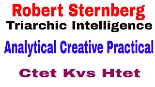 Robert Sternberg 's Triarchic Intelligence ! Analytical Creative Practical Ctet Kvs Htet