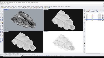 Rhino 6 ornamental modeling