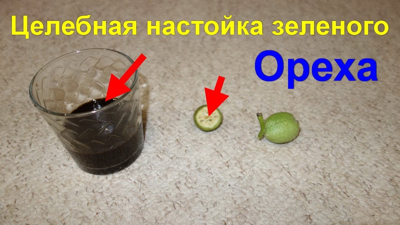 Зеленый грецкий орех польза видео Зеленый грецкий орех польза видео thumbnail