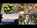 Nepal vlog  my skincare routine dinner with apa boudha laphing avocado picking and more 
