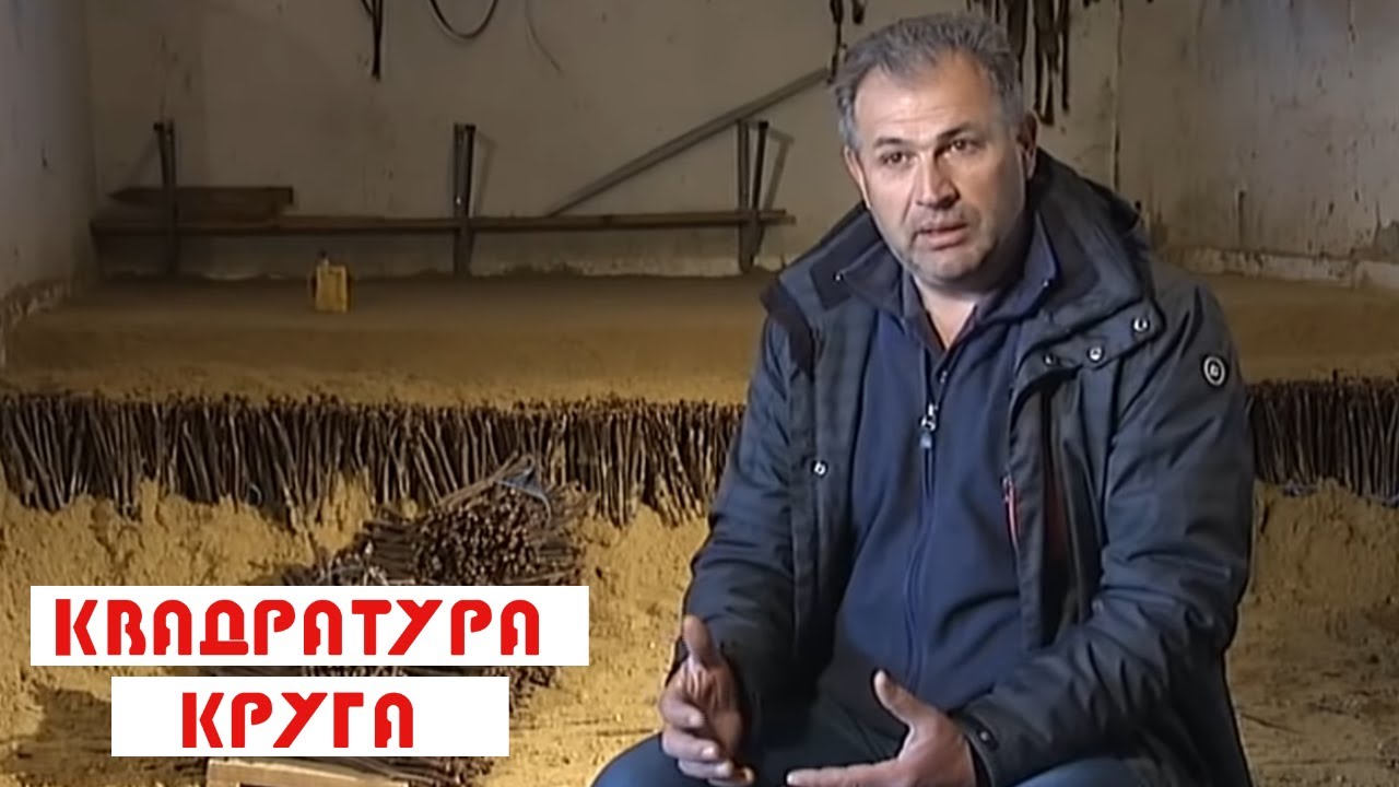 Kvadratura kruga: Tajne kalemarstva