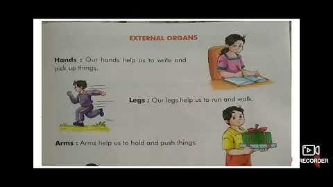 How Our Body Works Ev.S Class-2 EM