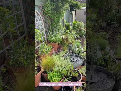 Video: Zahrady pěstované v chatkách v kontejnerech – výběr rostlin pro chatové zahrady do květináčů