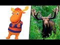 The Backyardigans in Real Life! All Characters