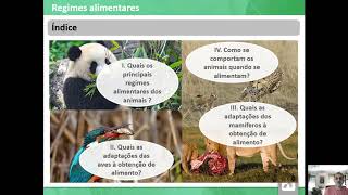 Regimes Alimentares dos Animais