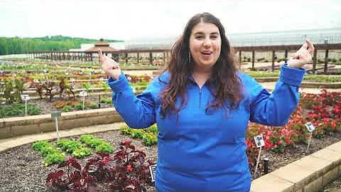 2020 Virtual Trial Garden Tour 1 - Introduction