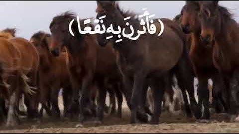 القارئ خالد الجليل  (سورة العاديات)