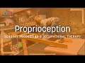 Proprioception | Sensory Processing & Pediatric Occupational Therapy