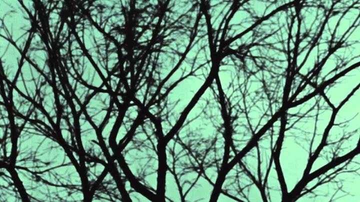Elms (by Evan Johnson and Guy Maddin)
