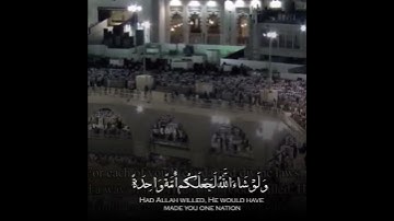 تلاوة مميزة للشيخ ياسر الدوسري من سورة  المائدة. رمضان الحرم المكي