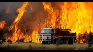 Dünyada yaşanmış en büyük orman  yangınları 🔥🚒🧯