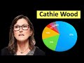 Full Cathie Wood Portfolio - [All 7 ARK Invest ETFs]