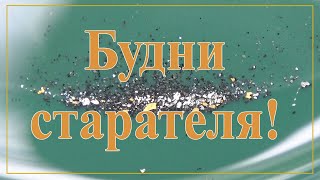 Будни старателя!