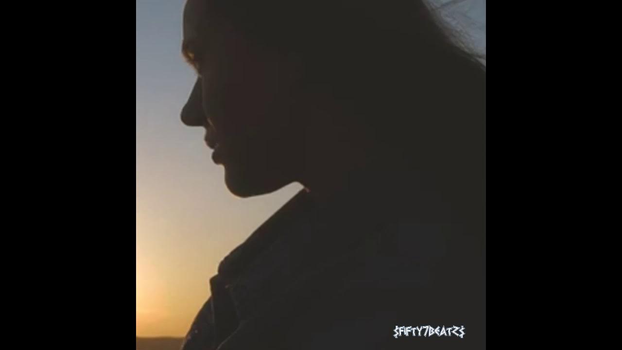 Лизер так бывает. Saluki pharaoh. салуки и лизер. saluki новая девушка.