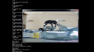 Celebrity Motorized zoom lens auto-focus demo (with Python sources) Profile